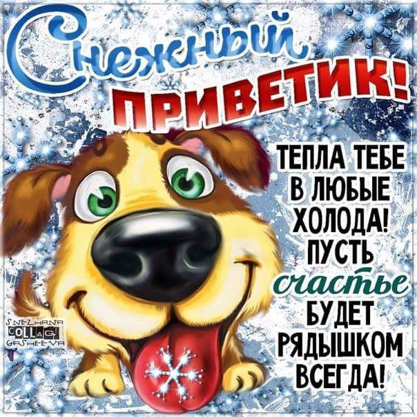 Снежный привет в открытках