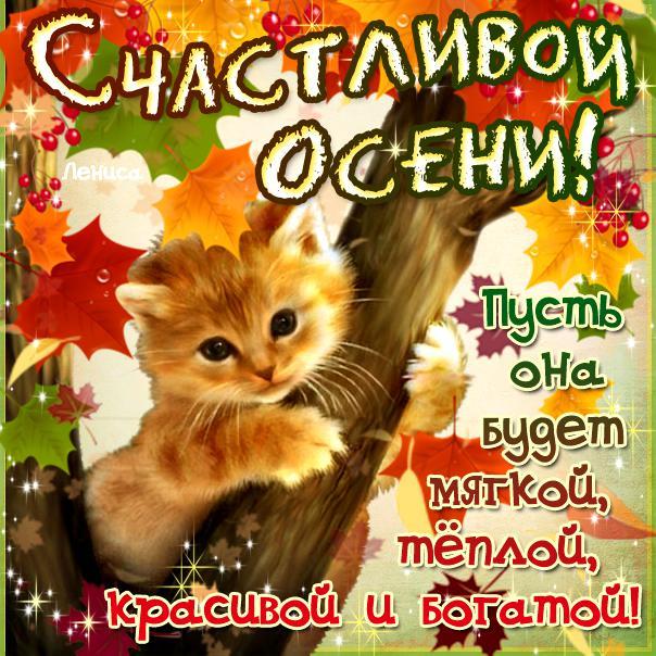 Картинки счастивой осени