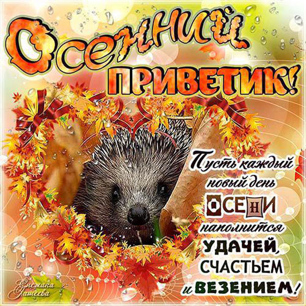 Открытки со словами осенний привет