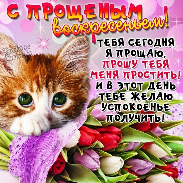 Высказывания в открытках прощеное воскресенье