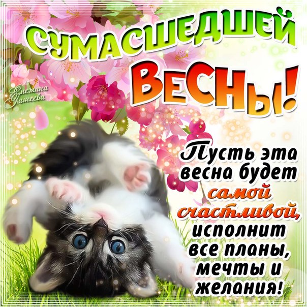 Готовые бесплатные открытки счастливой весны