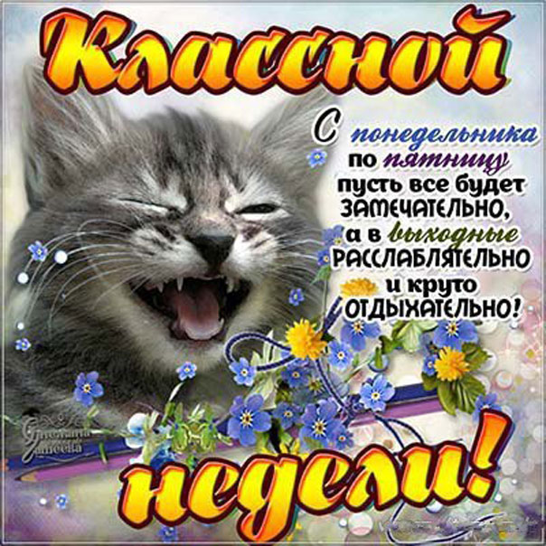 Картинки с понедельника по пятницу
