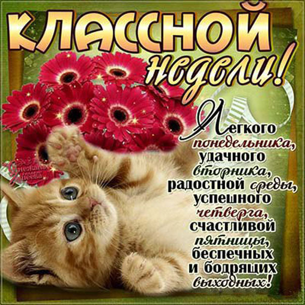 Открытка доброго дня Девушке
