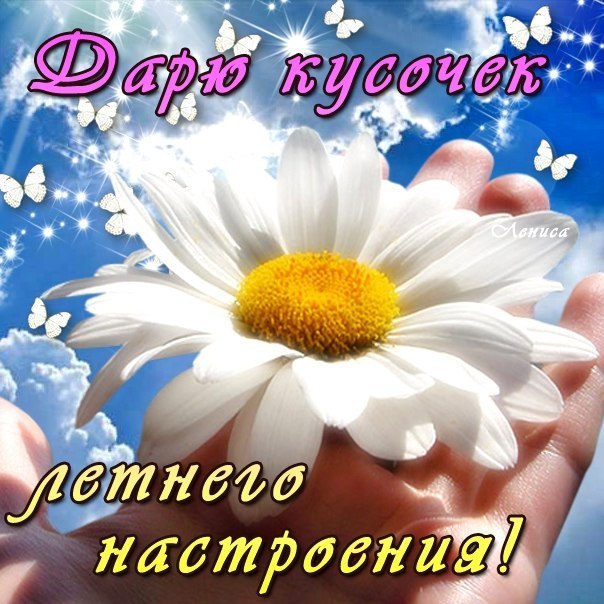 Блестящие картинки лето пожелание
