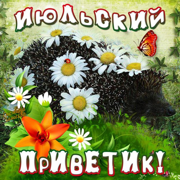 Чудесные открытки июльский приветик