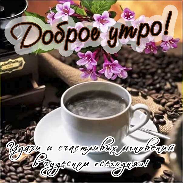 Доброе утро, удачного утра, чашка кофе, цветы утром, счастливых мгновений