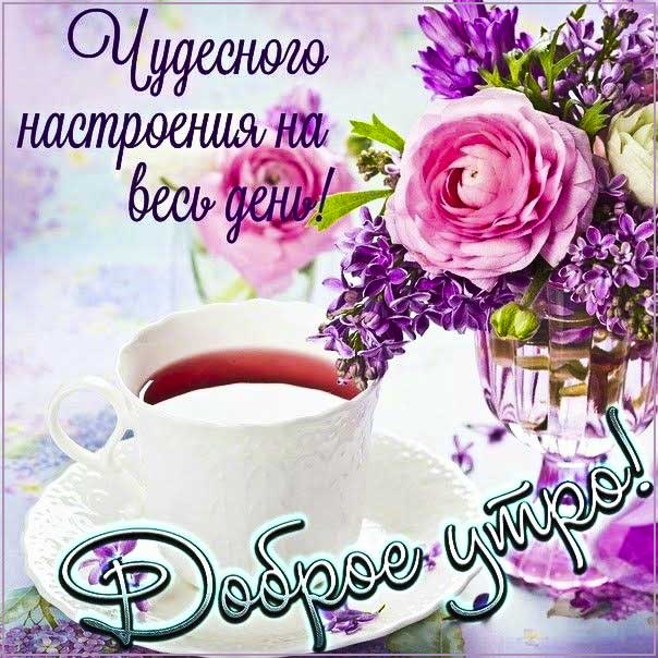 Открытка чудесного, волшебного утра тебе. Чай утро, розы цветы утром, доброе утро, текст, красивая надпись про утро, со стихом, мигающая, картинки, пожелание, сирень.