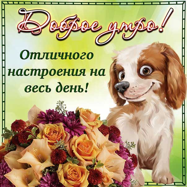 Доброе утро открытка отличного дня