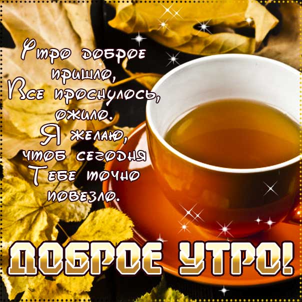С добрым утром! Осень, замечательного утра, теплого утра, нежного утра, доброе утро чудесного солнечного дня, прекрасное утро, ласкового утра