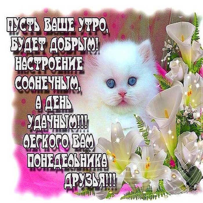 Солнечного настроения в понедельник