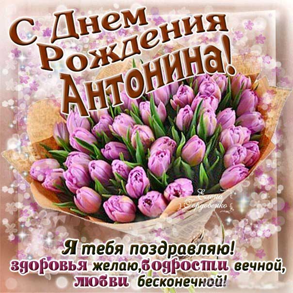 Антонина мерцающие гифы день рождения