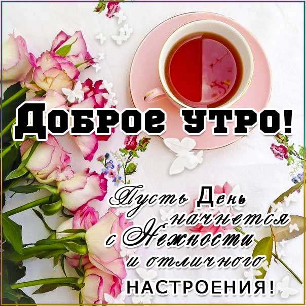 С добрым утром, про утро картинки, пожелать доброго утра, утро чай, розы волшебного утра