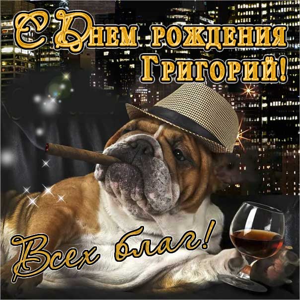 Григорий мерцающие гифы день рождения
