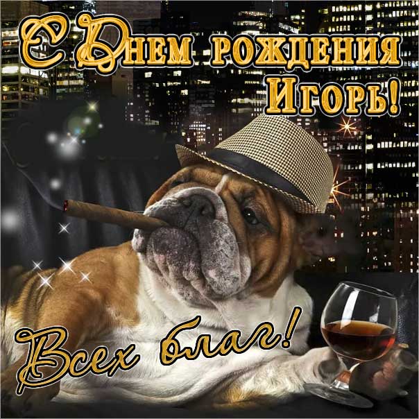 Игорь мерцающие гифы день рождения