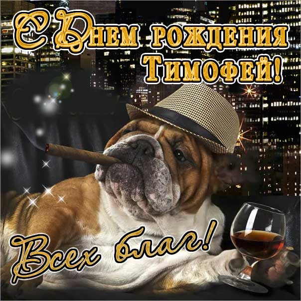 С днем рождения Тимофей картинки, Тимофею открытка с днем рождения, Тимоша с днем рождения, Тимоха с днем рождения анимация, Тимоше именины картинки, поздравить Тимофея, для Тимохи с днем рождения gif