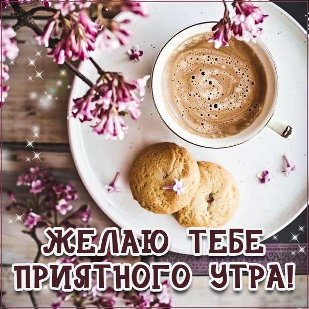 Доброе утро, позитивного утра, приятного утра, энергичного утра, феерического утра, насыщенного радостью утра, прелестное утро