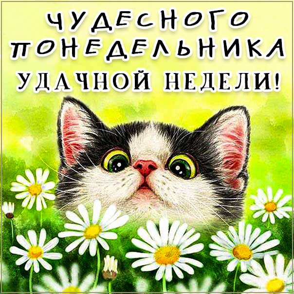 Понедельник чудесный картинка неделя