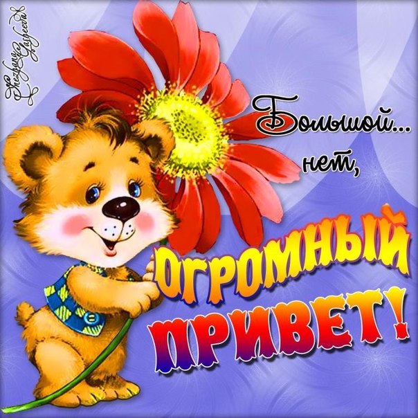 Открытки Привет прикольные