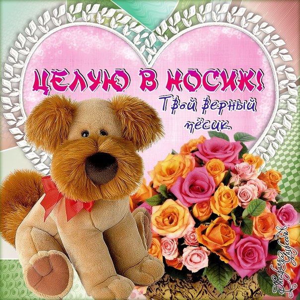 Открытка целую в носик