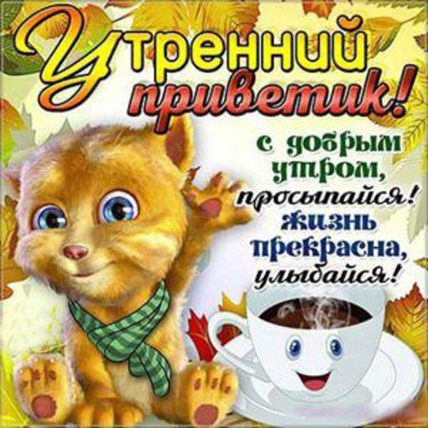 Открытка утренний привет доброе утро картинка со словами