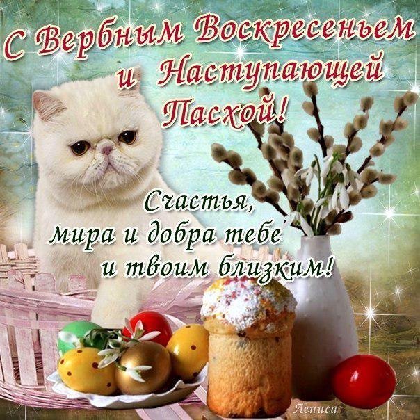 Красивые картинки вербное воскресенье